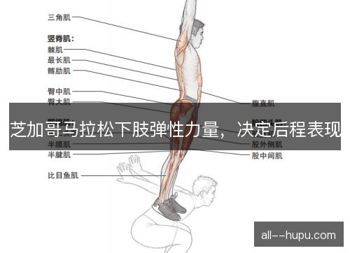 芝加哥马拉松下肢弹性力量，决定后程表现